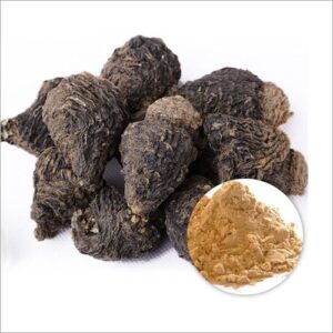 Black Maca Root – Natural Superfood for Energy & Vitality