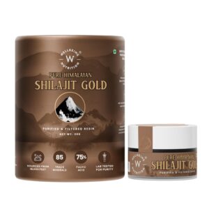 Shilajit Gold – Ayurvedic Supplement for Energy, Vitality & Daily Wellness